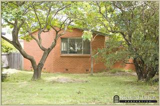 Frontyard (2010-03-04)