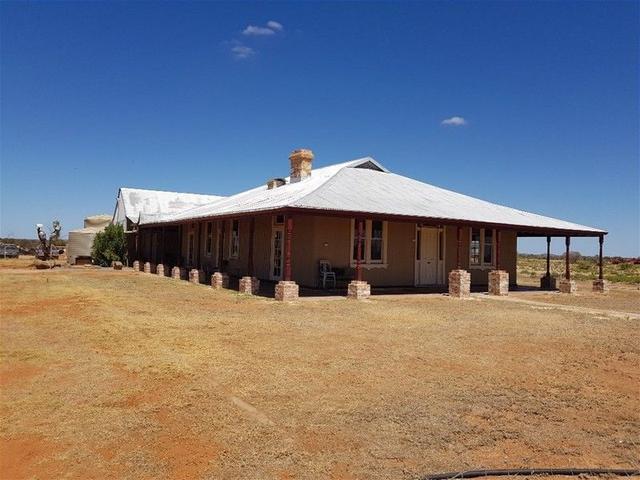 'Bunnawarra Station' Morawa-Yalgoo Road, WA 6635