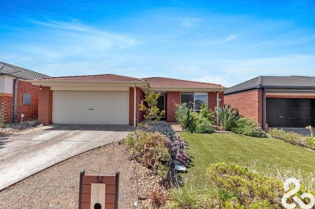 12 Chloris Court, VIC 3029