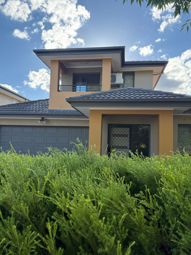 18 Charlotte Barton Street, ACT 2913