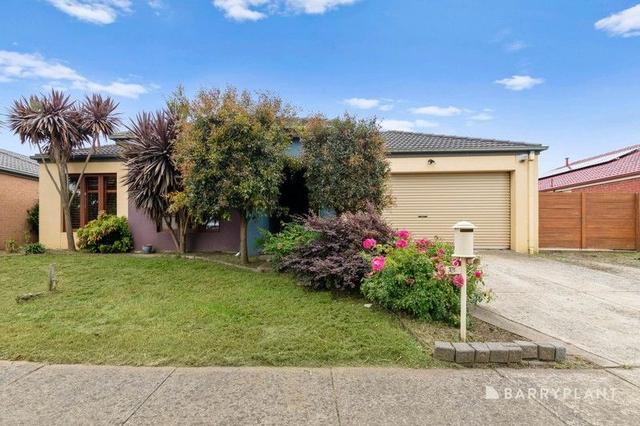 41 Chisholm Crescent, VIC 3805